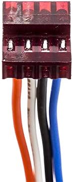 グラキリス spicy gem コピアポア オペルクリカリア グラキリス spicy